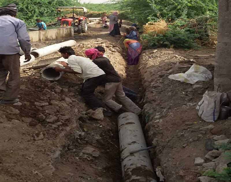 CSR Activity of Dev Wetland